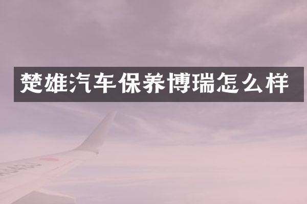 楚雄汽车保养博瑞怎么样