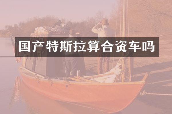 国产特斯拉算合资车吗