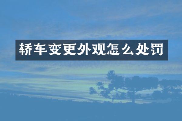 轿车变更外观怎么处罚