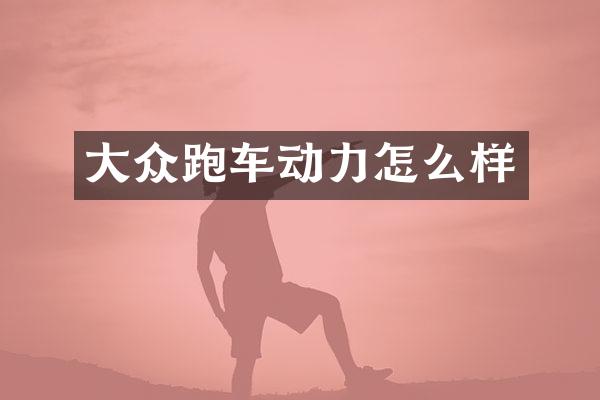大众跑车动力怎么样