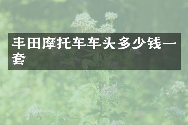 丰田摩托车车头多少钱一套