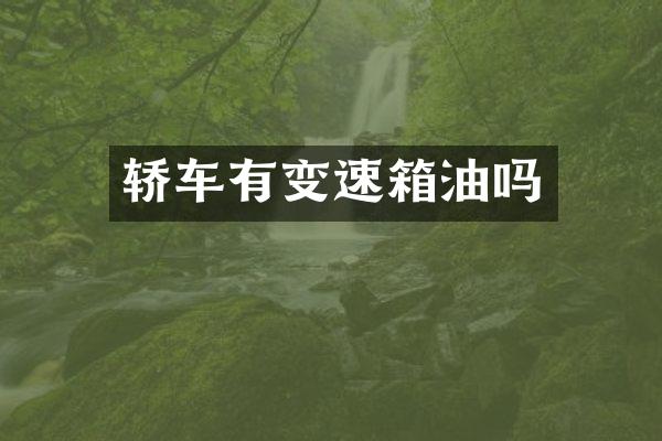 轿车有变速箱油吗