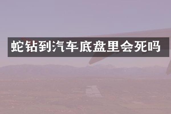 蛇钻到汽车底盘里会死吗