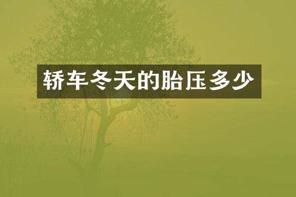 轿车冬天的胎压多少