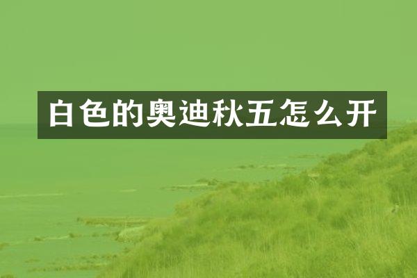 白色的奥迪秋五怎么开