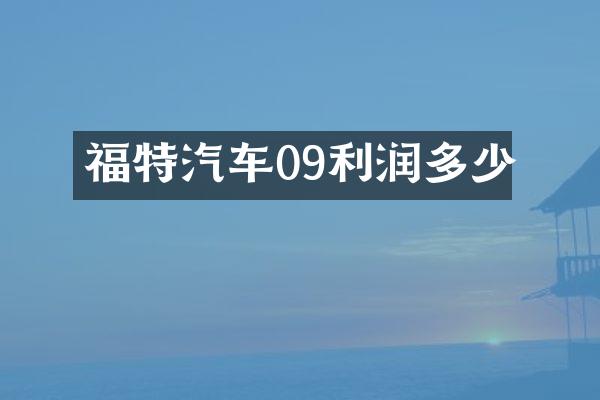 福特汽车09利润多少