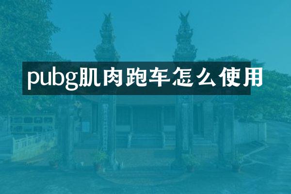 pubg肌肉跑车怎么使用
