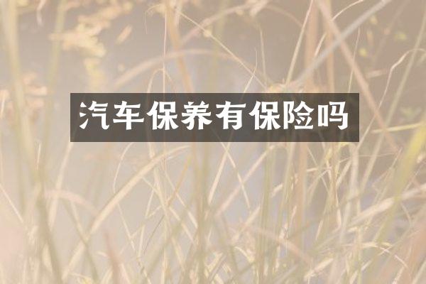 汽车保养有保险吗