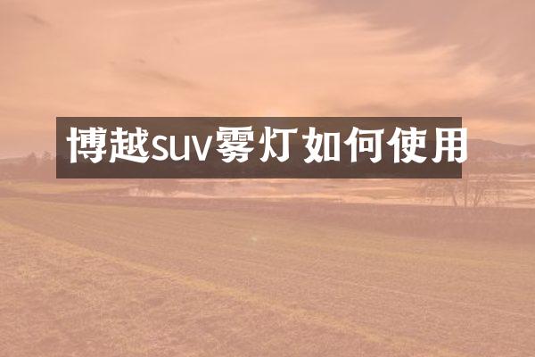 博越suv雾灯如何使用