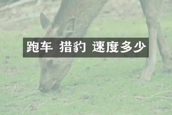 跑车 猎豹 速度多少