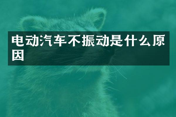 电动汽车不振动是什么原因