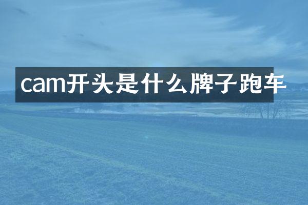 cam开头是什么牌子跑车