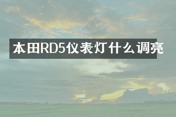 本田RD5仪表灯什么调亮