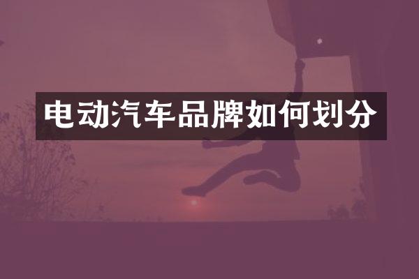电动汽车品牌如何划分