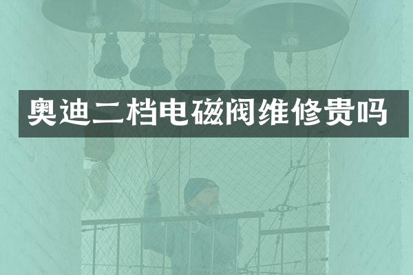 奥迪二档电磁阀维修贵吗