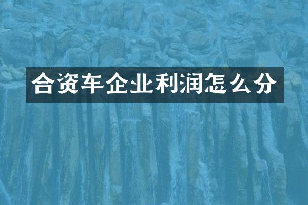合资车企业利润怎么分
