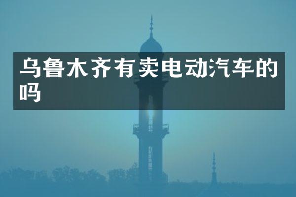 乌鲁木齐有卖电动汽车的吗