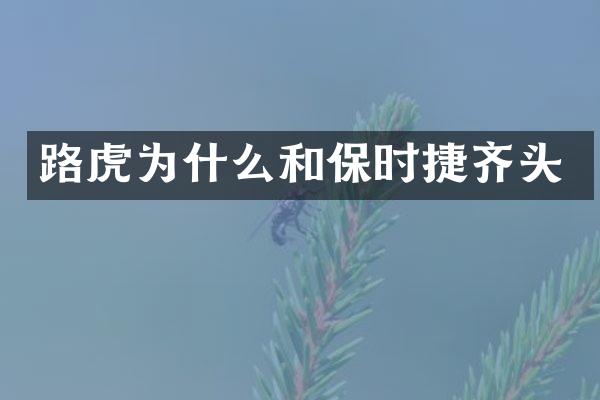 路虎为什么和保时捷齐头