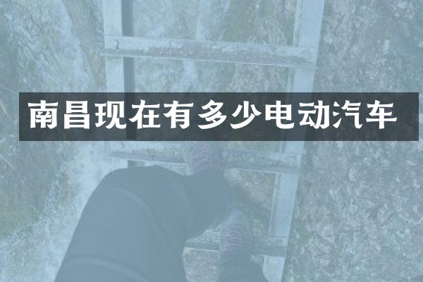 南昌现在有多少电动汽车
