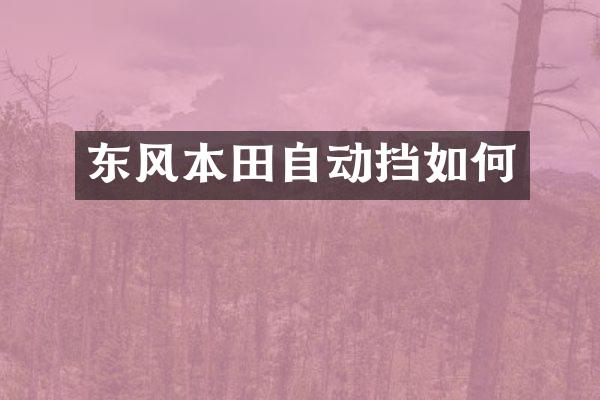 东风本田自动挡如何