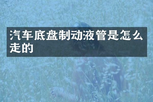 汽车底盘制动液管是怎么走的