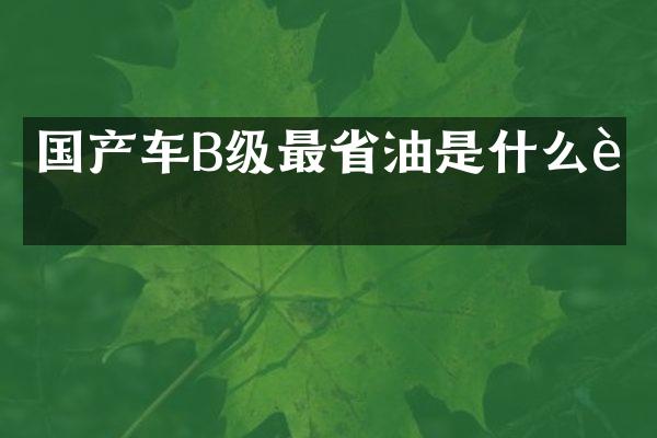 国产车B级最省油是什么车