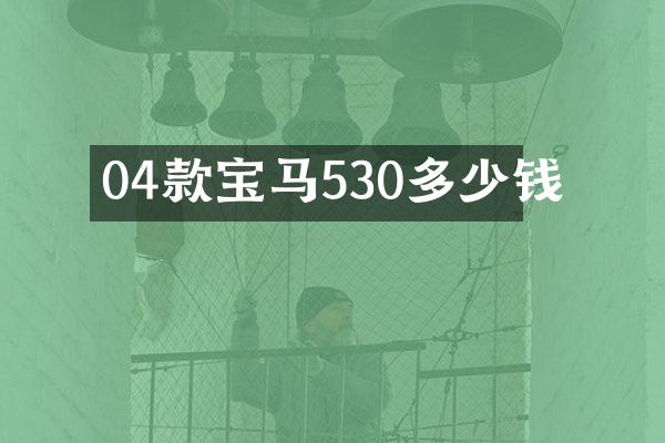 04款宝马530多少钱