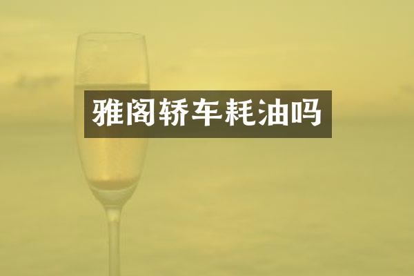 雅阁轿车耗油吗
