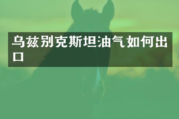 乌兹别克斯坦油气如何出口