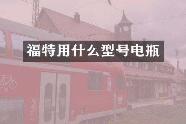 福特用什么型号电瓶