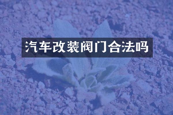 汽车改装阀门合法吗