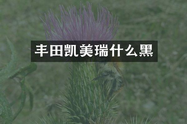 丰田凯美瑞什么黑