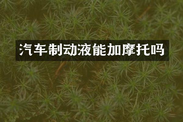 汽车制动液能加摩托吗