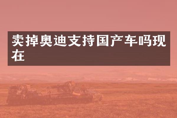卖掉奥迪支持国产车吗现在