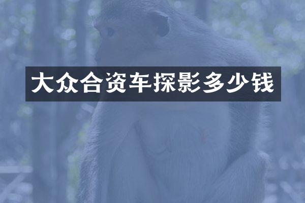 大众合资车探影多少钱