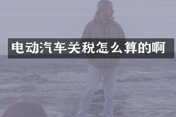 电动汽车关税怎么算的啊