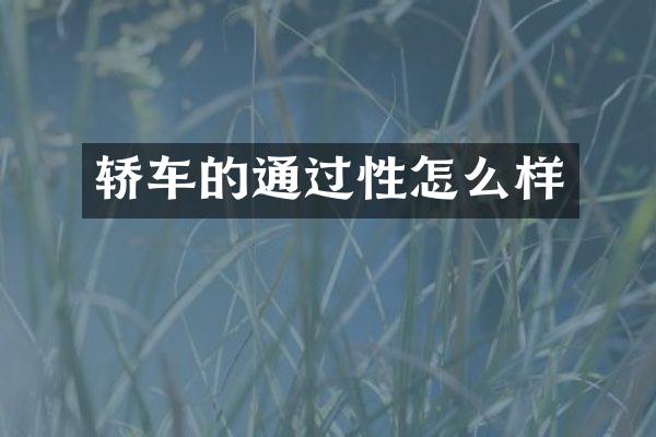 轿车的通过性怎么样