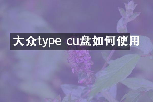 大众type cu盘如何使用