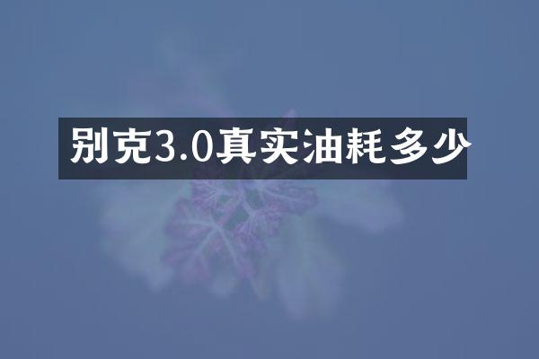 别克3.0真实油耗多少