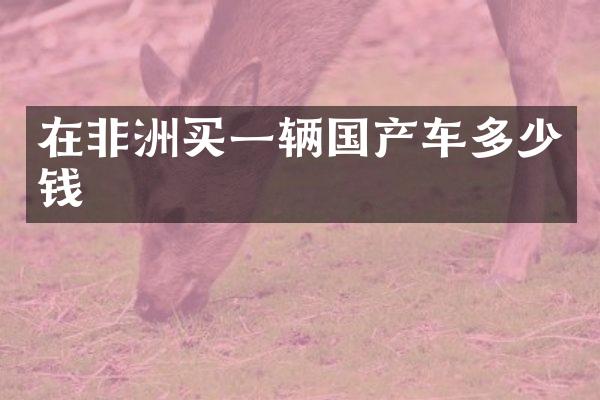 在非洲买一辆国产车多少钱