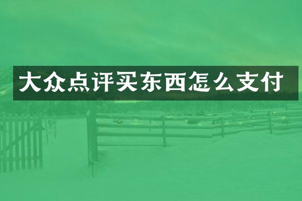 大众点评买东西怎么支付