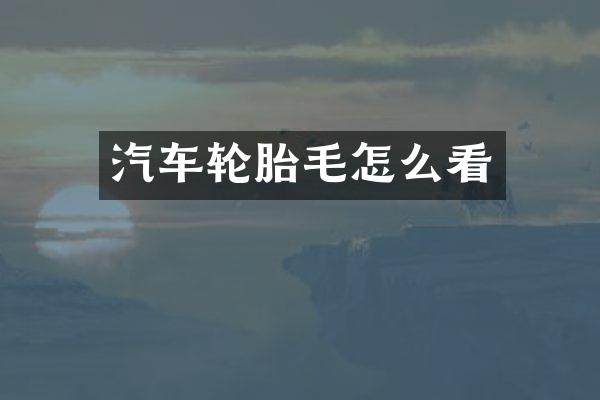 汽车轮胎毛怎么看