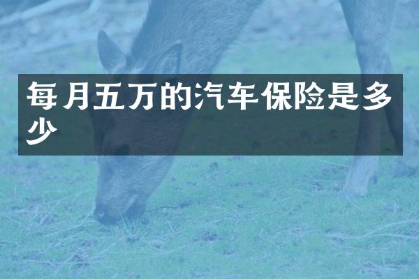 每月五万的汽车保险是多少