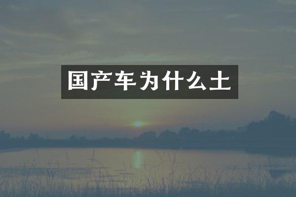 国产车为什么土