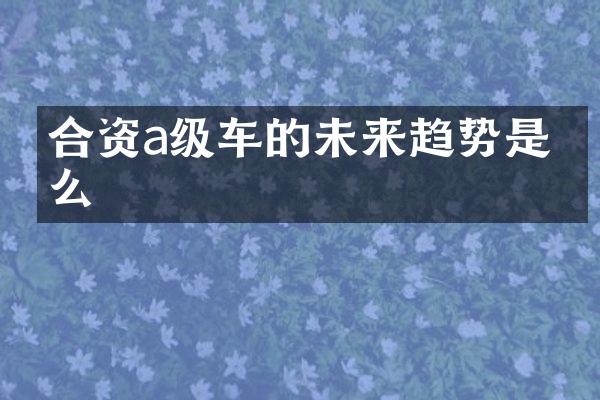 合资a级车的未来趋势是什么