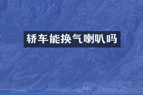 轿车能换气喇叭吗