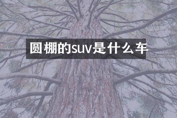 圆棚的suv是什么车