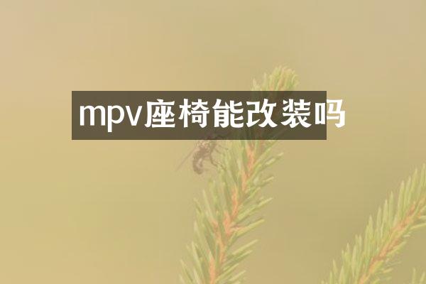 mpv座椅能改装吗