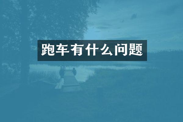 跑车有什么问题