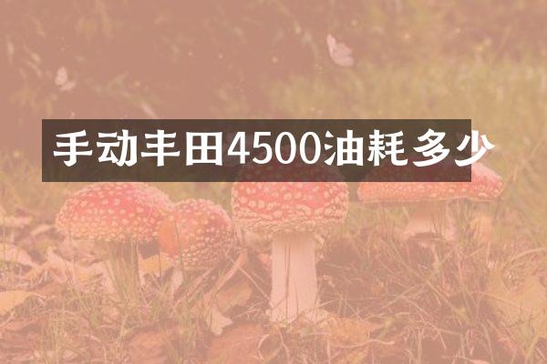 手动丰田4500油耗多少